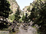 GriechenlandWeb Samaria Chania Kreta - Foto GriechenlandWeb.de