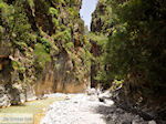GriechenlandWeb Samaria Chania Kreta - Foto GriechenlandWeb.de