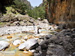 GriechenlandWeb Samaria Chania Kreta - Foto GriechenlandWeb.de