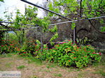 GriechenlandWeb Topolia Chania Kreta - Foto GriechenlandWeb.de
