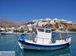 GriechenlandWeb.de Agia Galini Kreta - Foto 20 - Foto GriechenlandWeb.de