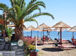 Agia Galini Kreta - Foto 108 - Foto van De Griekse Gids