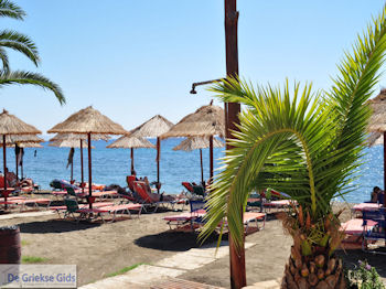 Agia Galini Kreta - Foto 106 - Foto van https://www.grieksegids.nl/fotos/eiland-kreta/fotos/agia-galini-kreta/350pixels/agiagalini-kreta-106.jpg