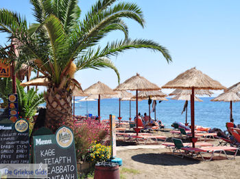 Agia Galini Kreta - Foto 108 - Foto van https://www.grieksegids.nl/fotos/eiland-kreta/fotos/agia-galini-kreta/350pixels/agiagalini-kreta-108.jpg