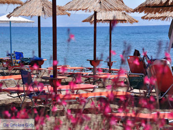 Agia Galini Kreta - Foto 113 - Foto van https://www.grieksegids.nl/fotos/eiland-kreta/fotos/agia-galini-kreta/350pixels/agiagalini-kreta-113.jpg