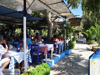 Agia Galini Kreta - Foto 121 - Foto van https://www.grieksegids.nl/fotos/eiland-kreta/fotos/agia-galini-kreta/350pixels/agiagalini-kreta-121.jpg