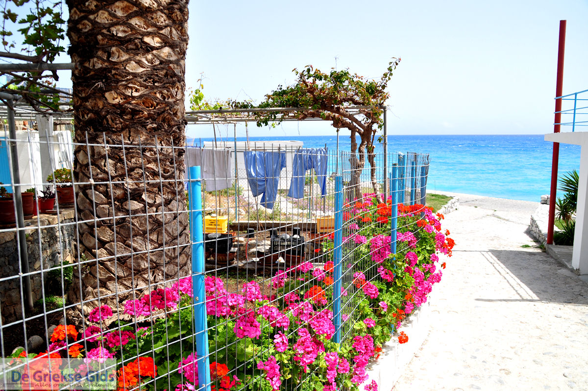 De was in Agia Roumeli | Chania Kreta | Griekenland