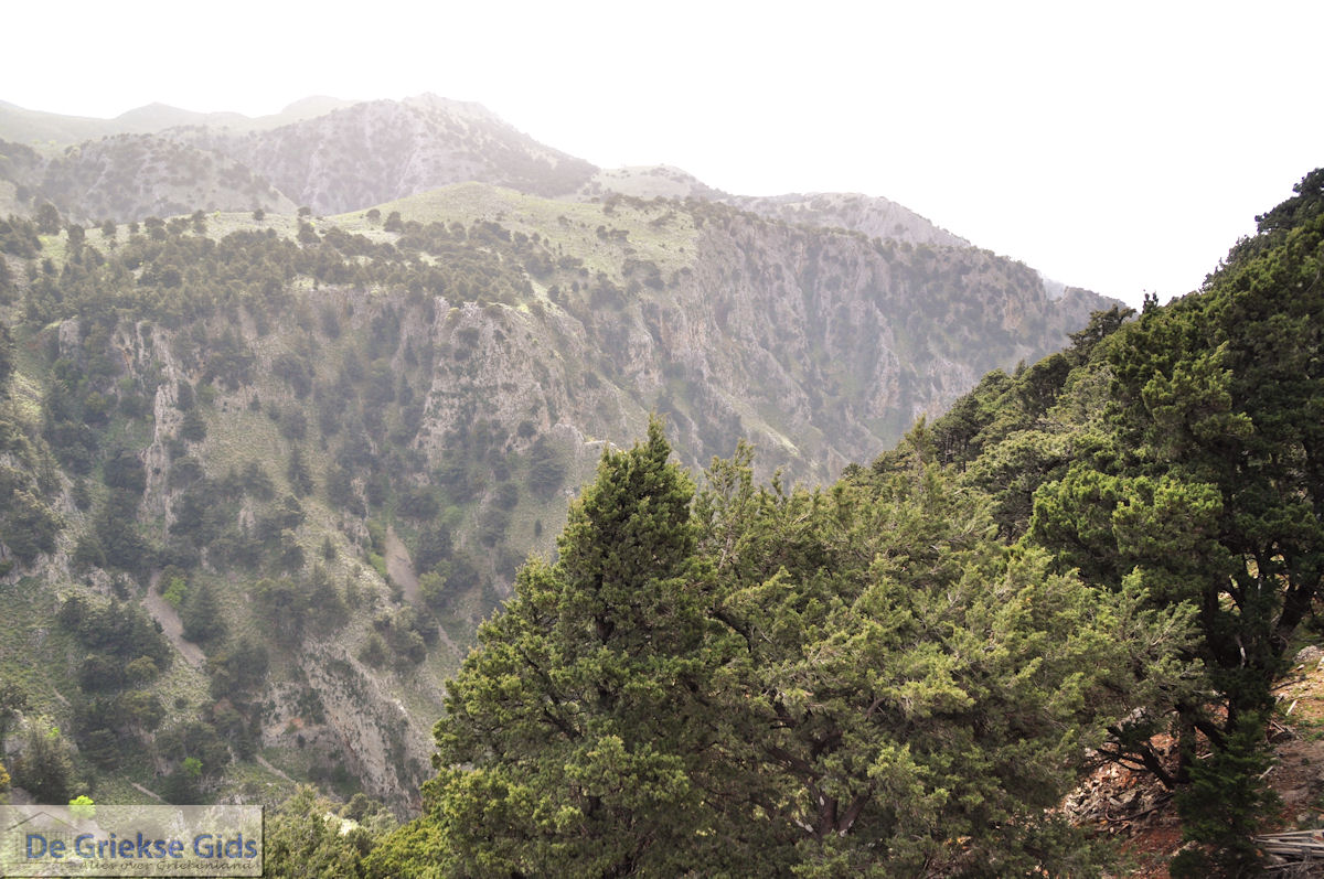 Imbros dorp en kloof | Chania Kreta | Foto 6