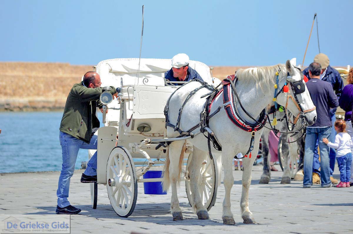 Paard en koets  | Chania stad | Kreta