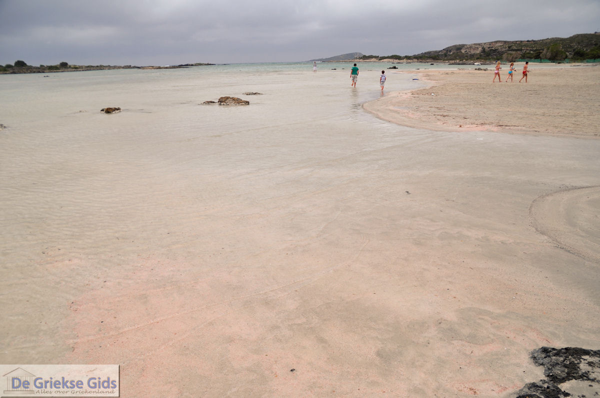 Zandstrand Elafonisi (Elafonissi) | Chania Kreta | Foto 16