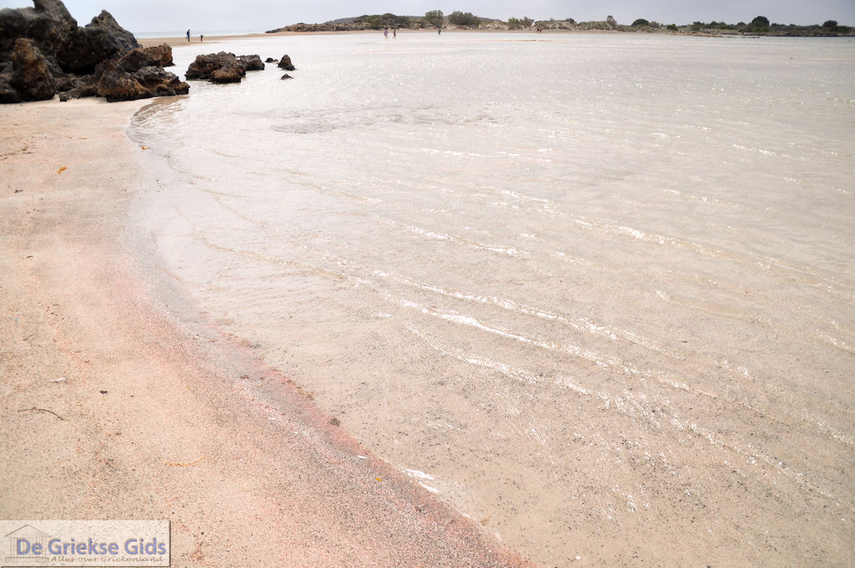 Zandstrand Elafonisi (Elafonissi) | Chania Kreta | Foto 31
