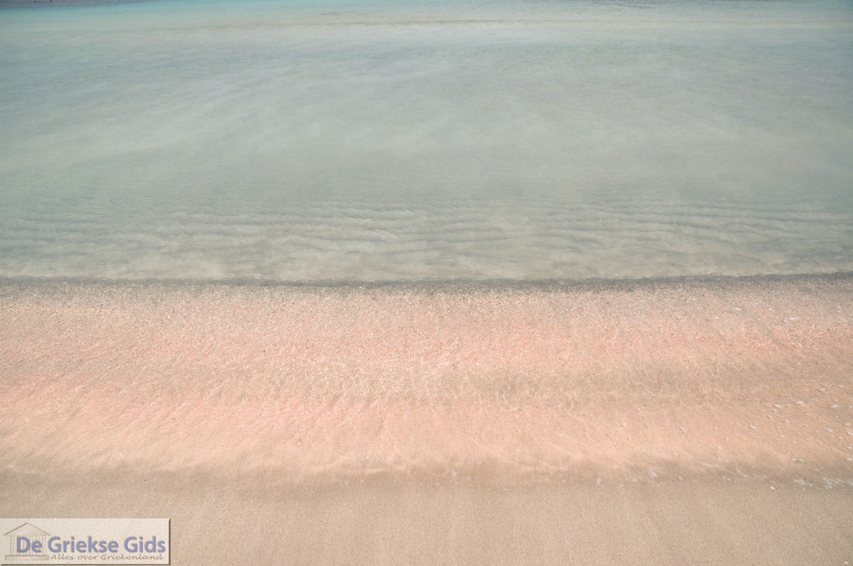 Zandstrand Elafonisi (Elafonissi) | Chania Kreta | Foto 32
