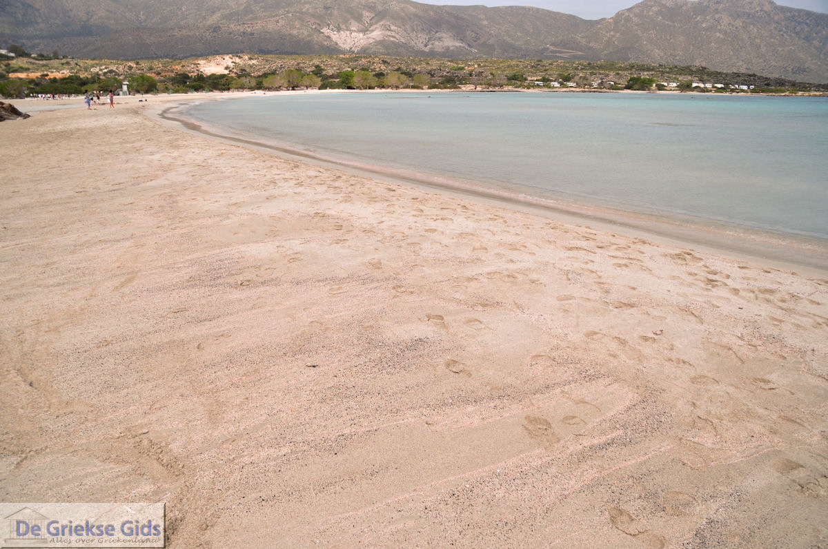 Zandstrand Elafonisi (Elafonissi) | Chania Kreta | Foto 35