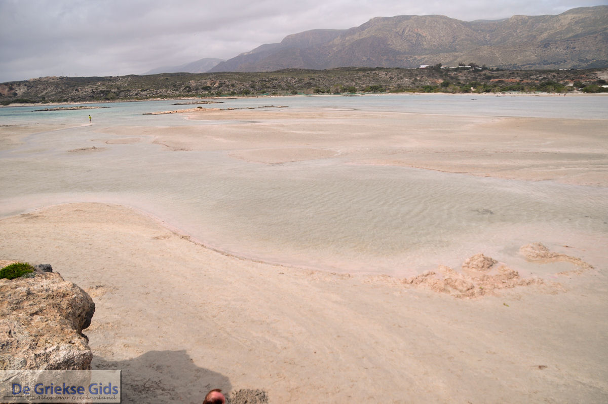 Zandstrand Elafonisi (Elafonissi) | Chania Kreta | Foto 44