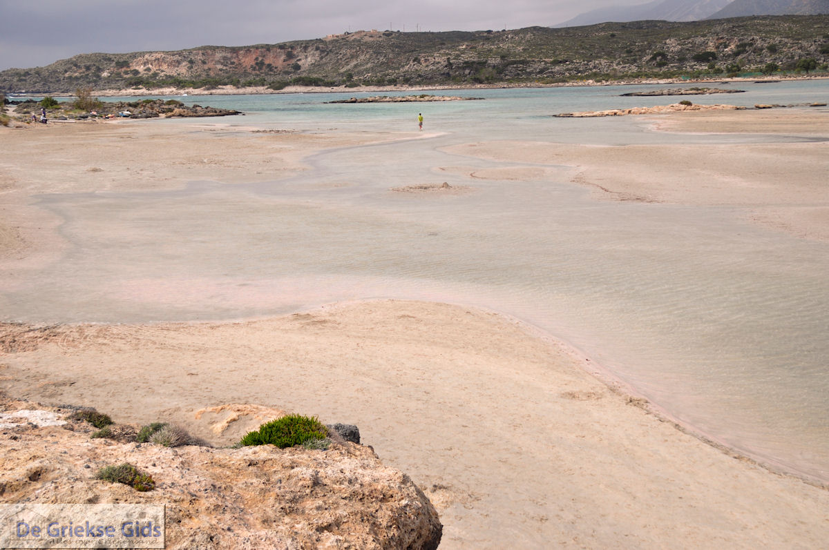 Zandstrand Elafonisi (Elafonissi) | Chania Kreta | Foto 45
