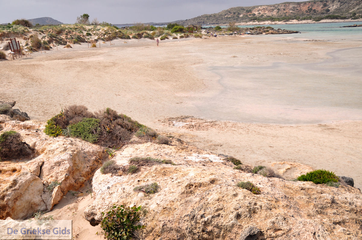 Zandstrand Elafonisi (Elafonissi) | Chania Kreta | Foto 46