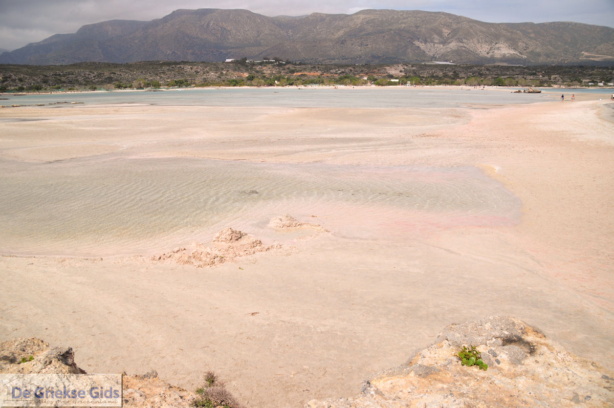 Zandstrand Elafonisi (Elafonissi) | Chania Kreta | Foto 48