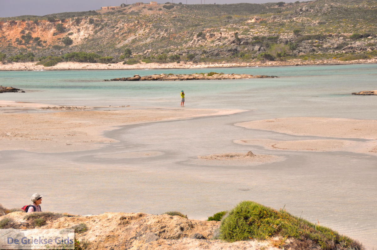 Zandstrand Elafonisi (Elafonissi) | Chania Kreta | Foto 52