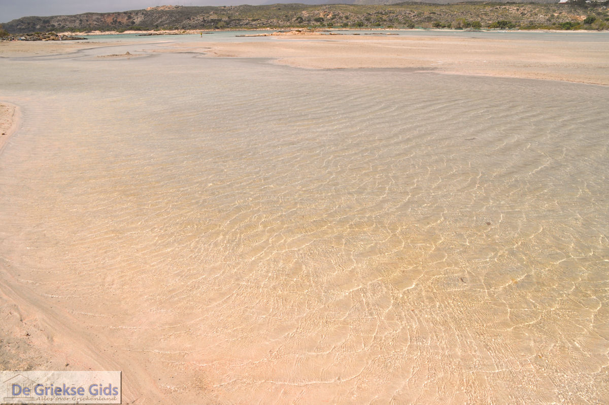 Zandstrand Elafonisi (Elafonissi) | Chania Kreta | Foto 58