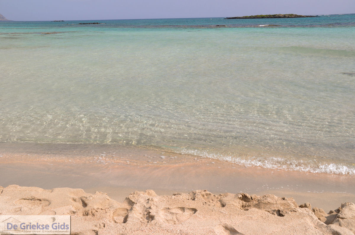 Zandstrand Elafonisi (Elafonissi) | Chania Kreta | Foto 64