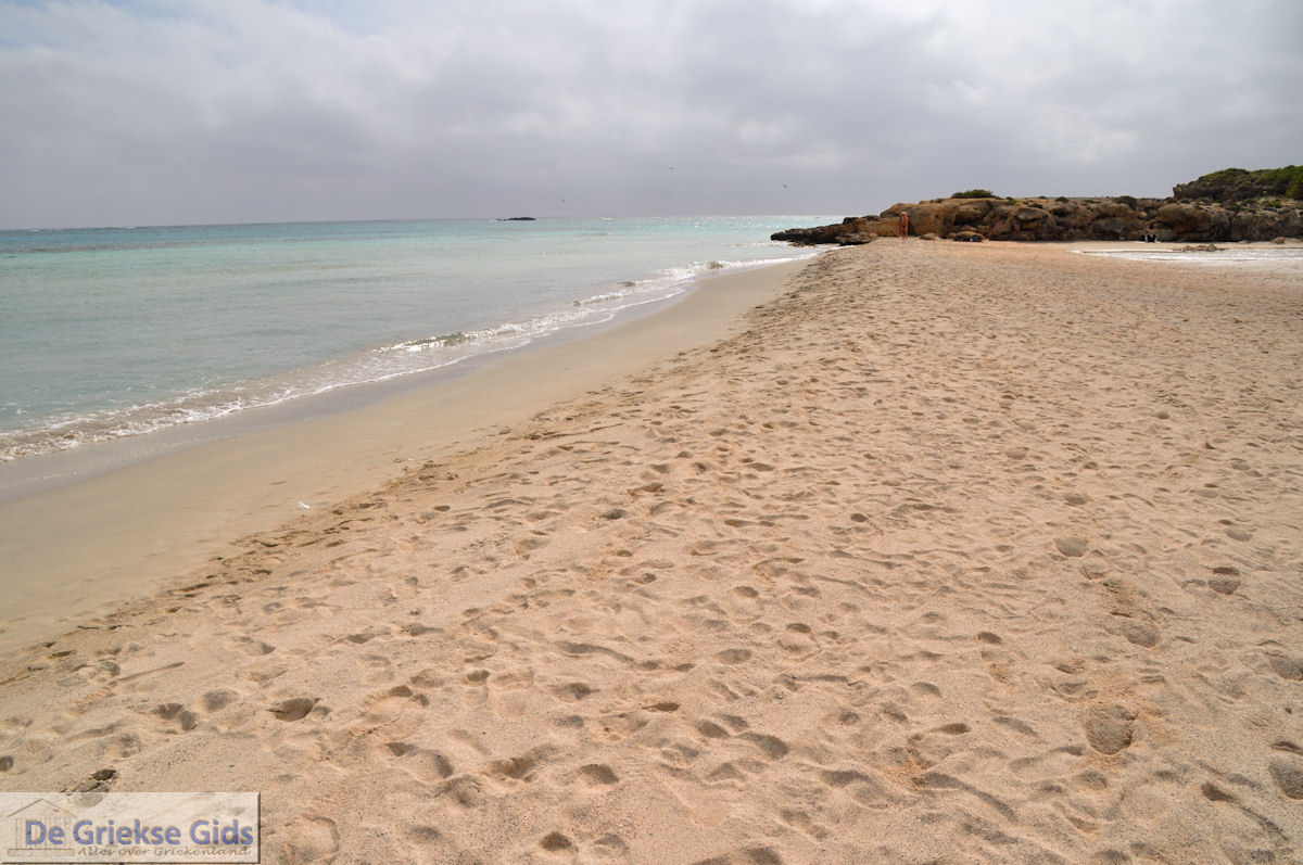foto Zandstrand Elafonisi (Elafonissi) | Chania Kreta | Foto 66