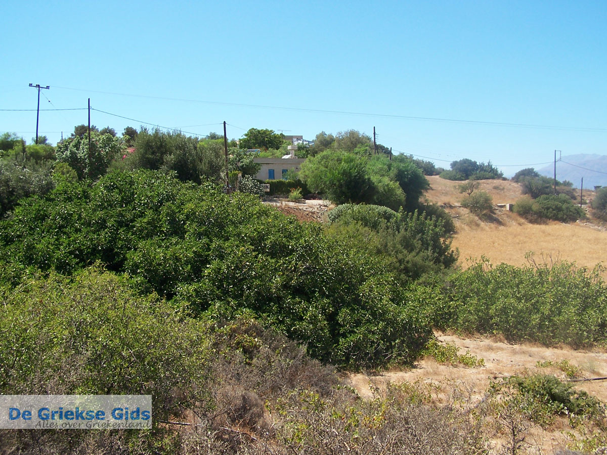 foto Bij de camping van Komos | Kreta Griekenland 2