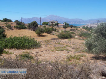 Bij de camping van Komos | Kreta Griekenland 1 - Foto van https://www.grieksegids.nl/fotos/eiland-kreta/fotos/komos-kreta/mid/komos-kreta-001.jpg