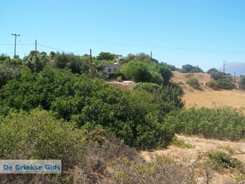 Bij de camping van Komos | Kreta Griekenland 2 - Foto van https://www.grieksegids.nl/fotos/eiland-kreta/fotos/komos-kreta/mid/komos-kreta-002.jpg