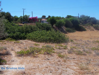 Bij de camping van Komos | Kreta Griekenland 3 - Foto van https://www.grieksegids.nl/fotos/eiland-kreta/fotos/komos-kreta/mid/komos-kreta-003.jpg