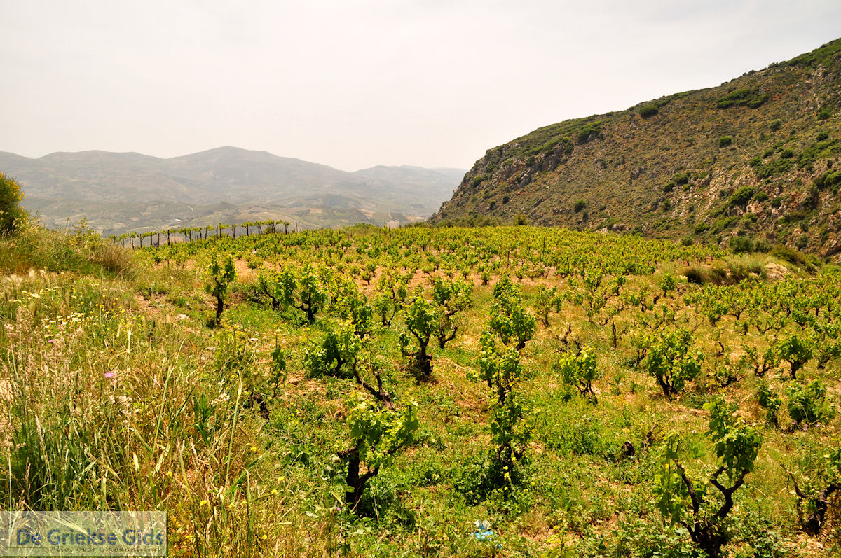 Archanes Kreta | Griekenland 13