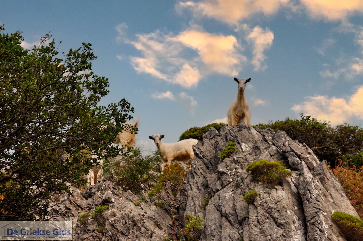 foto Kourtaliotiko Kloof Kreta | Griekenland 4