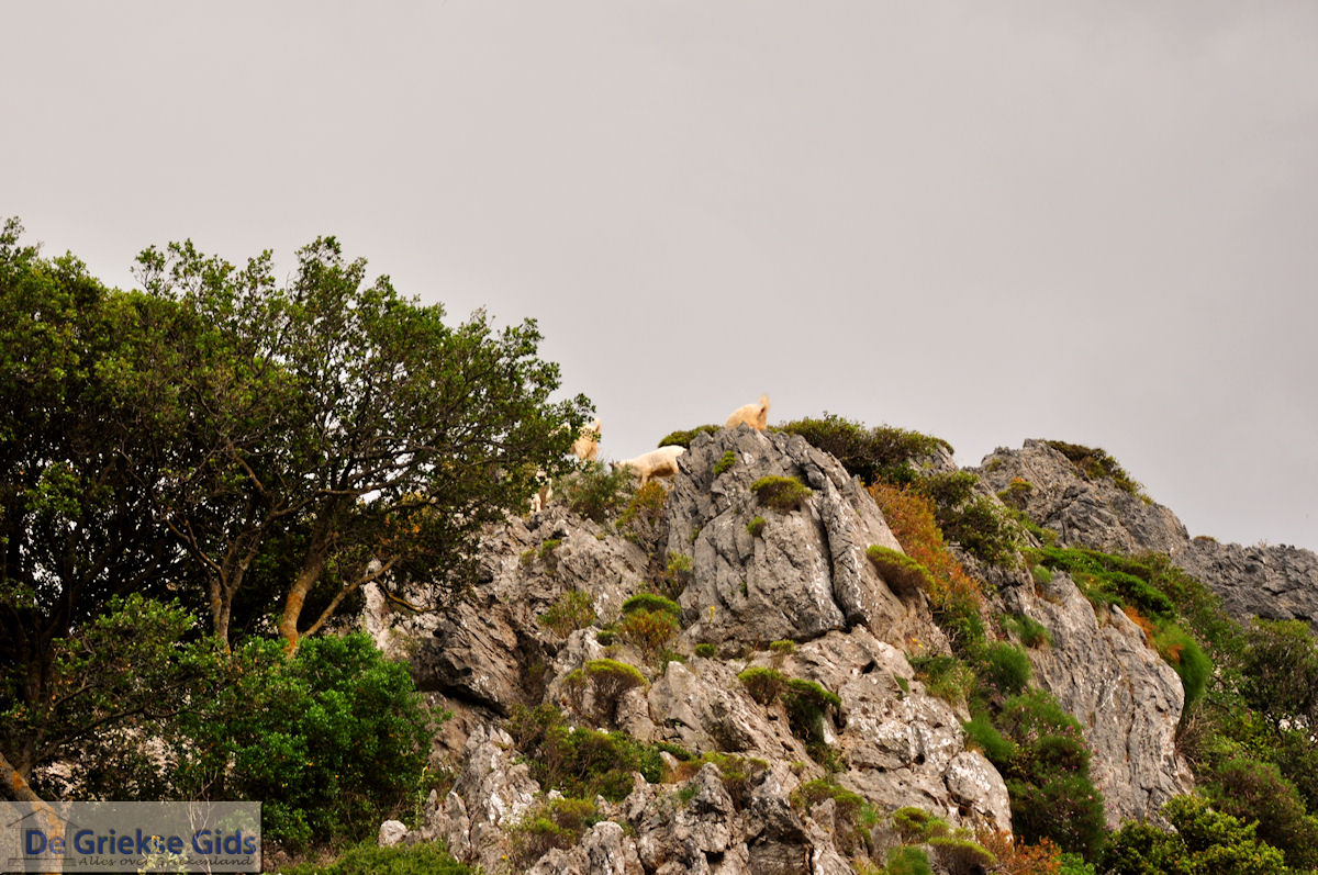 Kourtaliotiko Kloof Kreta | Griekenland 5