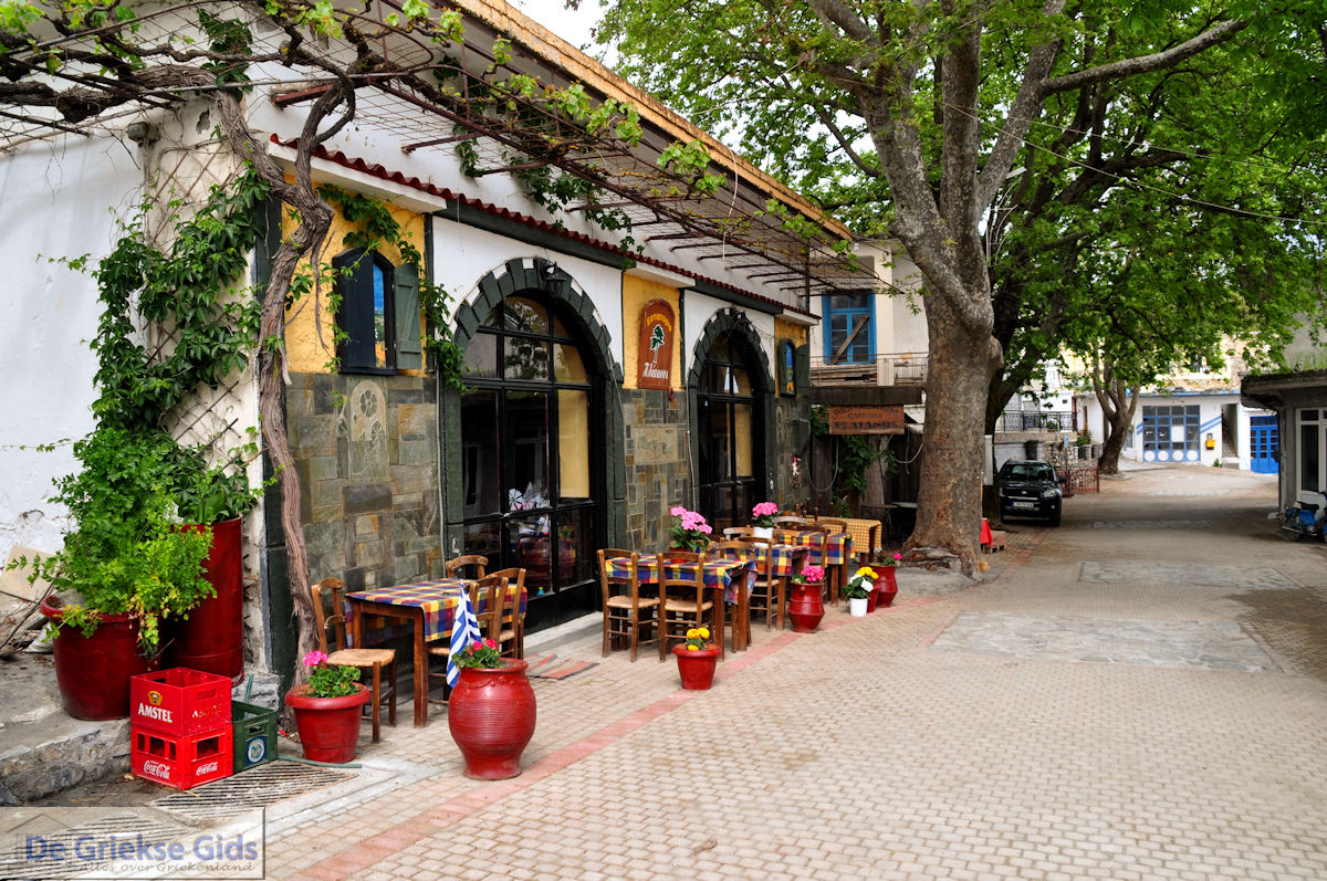 Lassithi vlakte Kreta | Griekenland 30