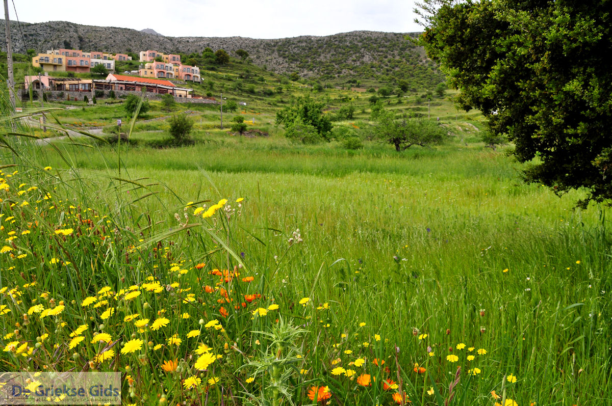 Lassithi vlakte Kreta | Griekenland 32