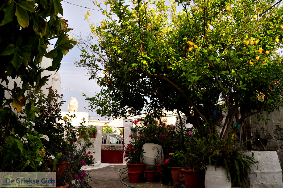 Skourvoula Kreta | Griekenland 3