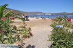 Elounda Kreta | Griekenland 042 - Foto van De Griekse Gids