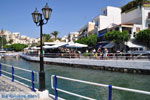 GriechenlandWeb.de Agios Nikolaos | Kreta | GriechenlandWeb.de - foto 0031 - Foto GriechenlandWeb.de