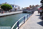GriechenlandWeb Agios Nikolaos  Lassithi Kreta - Foto GriechenlandWeb.de