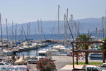 Agios Nikolaos | Kreta | GriechenlandWeb.de - foto 0041 - Foto GriechenlandWeb.de