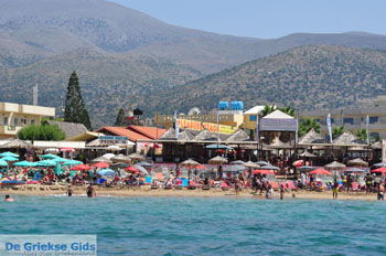 Malia Kreta | Griekenland 003 - Foto van https://www.grieksegids.nl/fotos/eiland-kreta/fotos/kreta/kreta-mid/kreta-grieksegids-003.jpg