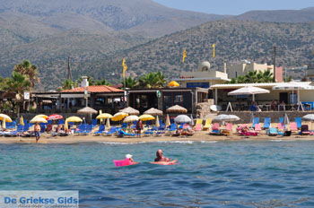 Malia Kreta | Griekenland 007 - Foto van https://www.grieksegids.nl/fotos/eiland-kreta/fotos/kreta/kreta-mid/kreta-grieksegids-007.jpg