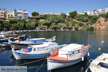 Agios Nikolaos | Kreta | Griekenland 0033 - Foto van https://www.grieksegids.nl/fotos/eiland-kreta/fotos/kreta/kreta-mid/kreta-grieksegids-159.jpg