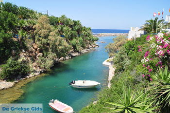 Sissi Kreta | Griekenland 015 - Foto van https://www.grieksegids.nl/fotos/eiland-kreta/fotos/kreta/kreta-mid/kreta-grieksegids-213.jpg