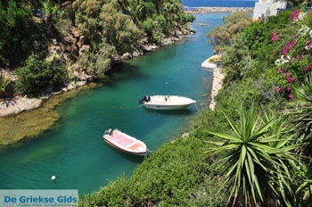 Sissi Kreta | Griekenland 016 - Foto van https://www.grieksegids.nl/fotos/eiland-kreta/fotos/kreta/kreta-mid/kreta-grieksegids-214.jpg