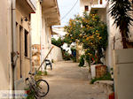 Foto Chania Kreta Kreta GriechenlandWeb - Foto GriechenlandWeb.de