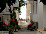 Foto Chania Kreta Kreta GriechenlandWeb - Foto GriechenlandWeb.de