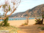 Foto Chania Kreta Kreta GriechenlandWeb - Foto GriechenlandWeb.de