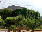 Foto Chania Kreta Kreta GriechenlandWeb - Foto GriechenlandWeb.de