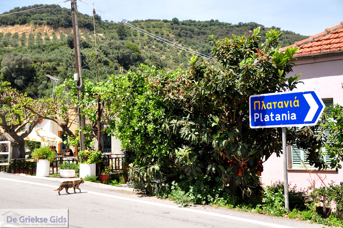 Leuk dorpje Patelari bij Platanias en Stalos (Platanias Chania Kreta - Stalos Chania Kreta) foto 4  | Chania | Kreta