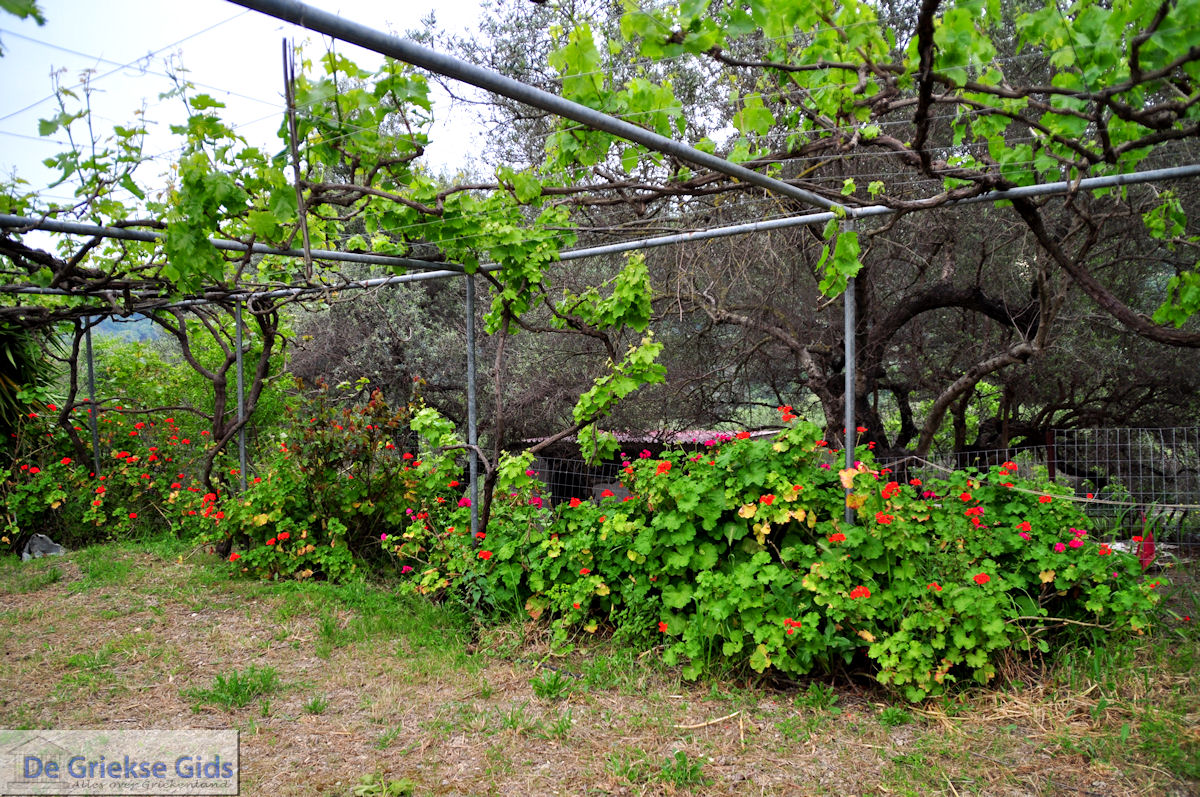 foto Traditioneel dorp Topolia | Chania Kreta | Foto 12